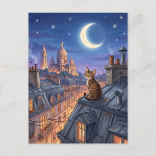 Sacre-Coeur Basiliek Montmartre Parijs Frankrijk Briefkaart