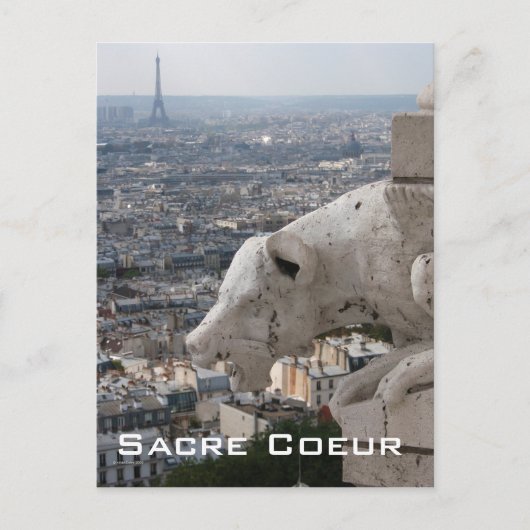 Sacre Coeur Gargoyle 2 Briefkaart (Voorkant)