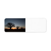 Sacred Baobabs Etiket (Voorkant)