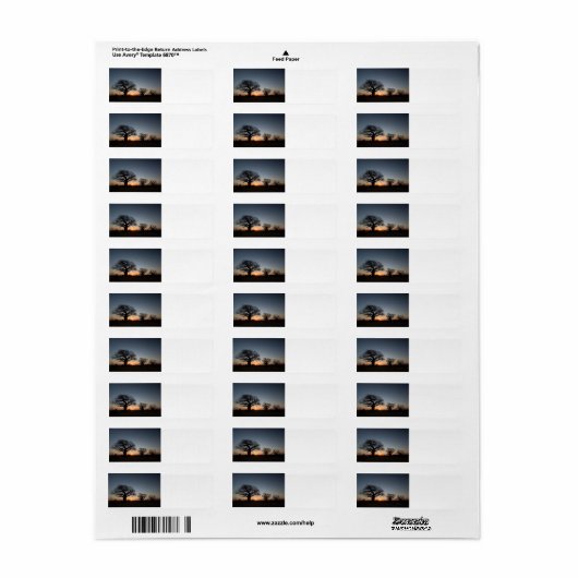 Sacred Baobabs Etiket (Full Sheet)