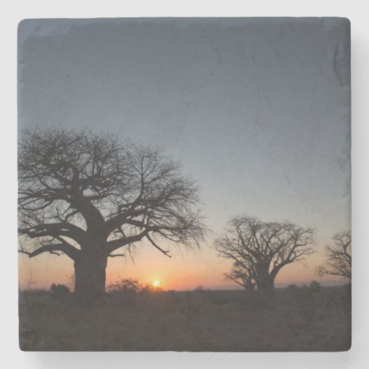 Sacred Baobabs Stenen Onderzetter (Voorkant)