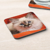 Sacred Birman Kitten Drankjes Onderzetter (Linkerzijde)