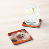 Sacred Birman Kitten Drankjes Onderzetter (Rechterzijde)