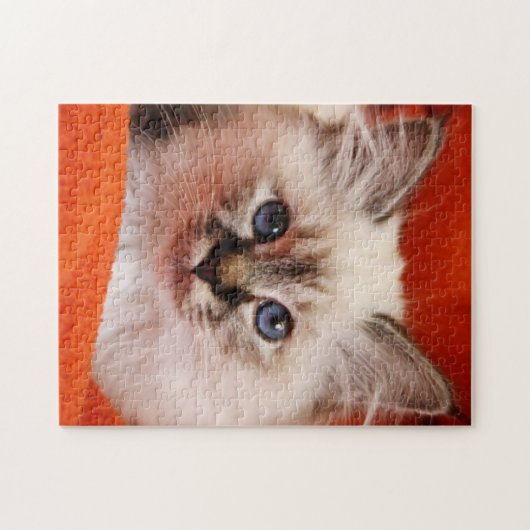 Sacred Birman Kitten Legpuzzel (Horizontaal)