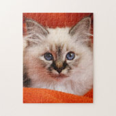 Sacred Birman Kitten Legpuzzel (Verticaal)