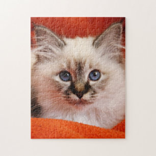 Sacred Birman Kitten Legpuzzel