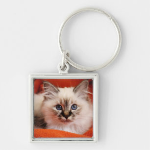 Sacred Birman Kitten Sleutelhanger