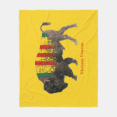 Sacred Buffalo Vietnam Veteran BLANKET Fleece Deken (Voorkant)