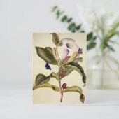  Sacred datura and blue butterfly  Briefkaart (Staand voorkant)