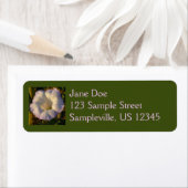 Sacred Datura Flower Wildflower Etiket (Insitu)