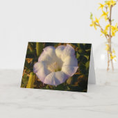 Sacred Datura Flower Wildflower Kaart (Gele Bloem)
