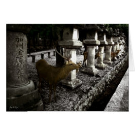 Sacred Deer van Nara Japan