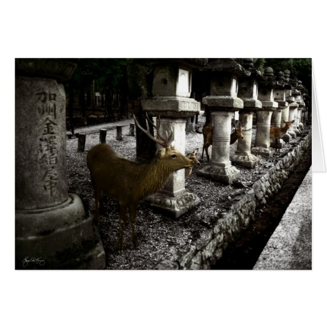 Sacred Deer van Nara Japan (Voorkant Horizontaal)