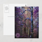 Sacred Forest Briefkaart (Voorkant / Achterkant)