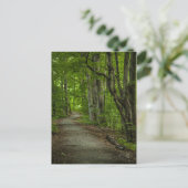 Sacred Grove in de zomer Briefkaart (Staand voorkant)