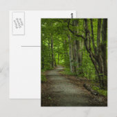 Sacred Grove in de zomer Briefkaart (Voorkant / Achterkant)