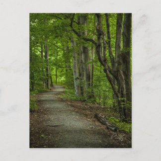 Sacred Grove in de zomer Briefkaart