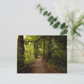 Sacred Grove, Palmyra, New York Briefkaart (Staand voorkant)