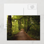 Sacred Grove, Palmyra, New York Briefkaart (Voorkant / Achterkant)