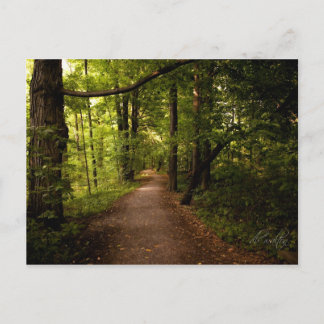 Sacred Grove, Palmyra, New York Briefkaart