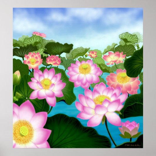 Sacred Lotus Flowers Poster (Voorkant)