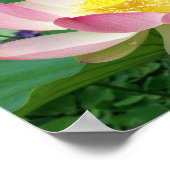 "Sacred Lotus" Poster (Hoek)