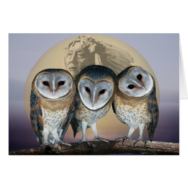 Sacred Owl Noord-Amerikaans Indiaan (Voorkant Horizontaal)