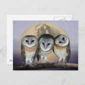 Sacred Owl Noord-Amerikaans Indiaan Briefkaart (Voorkant / Achterkant)
