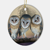 Sacred Owl Noord-Amerikaans Indiaan Keramisch Ornament (Links)