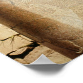 Sacred scarab standbeeld in de tempel van Amun Poster (Hoek)