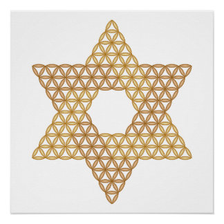 Sacred Star - Star of Life, 04/3D-Br. Perfect Poster