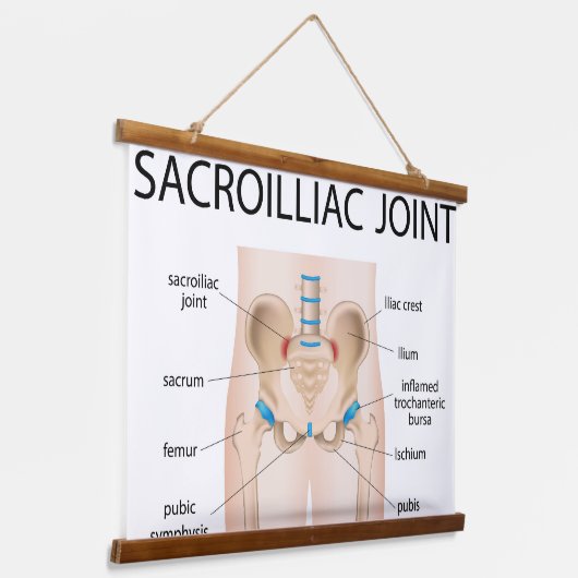 Sacro-iliacaal gewricht hangend wandkleed (Gebogen)