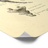 Sacrum Coccyx Anatomine Botten Afdrukken Poster (Hoek)