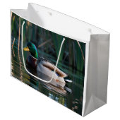 Sacs Cadeaux Canard colvert mâle nageant dans un  Groot Cadeauzakje (Voorkant Gekanteld)