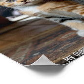 Sad and Lonely Pets Poster Print: My Owner (Hoek)