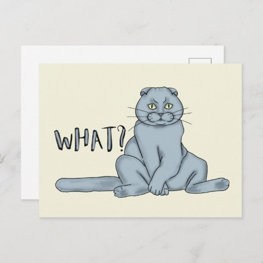 Sad cat. briefkaart (Voorkant / Achterkant)