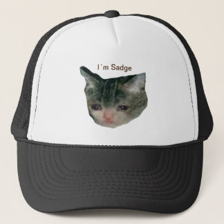Sad Cat Trucker Pet