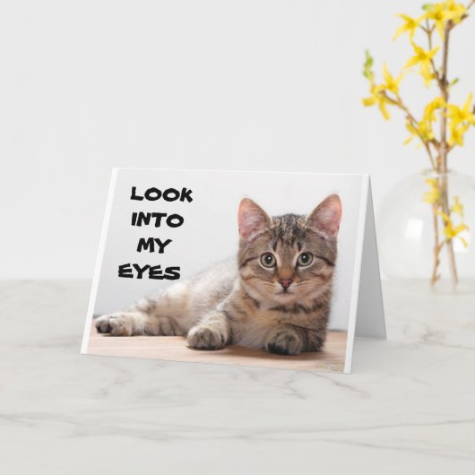 SAD CAT VOOR MISSING "UW BIRTHDAY" KAART (Gele Bloem)