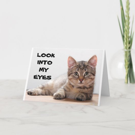 SAD CAT VOOR MISSING "UW BIRTHDAY" KAART (Voorkant)