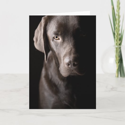 Sad Chocolate Labrador Kaart (Voorkant)
