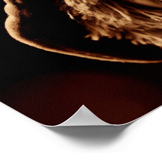 Sad Clown Doll Face Poster (Hoek)