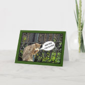 "Sad Crying Cat/Belated Birthday Kaart (Voorkant)