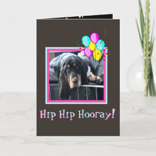 Sad & Cute Basset on Funny Birthday Card W/Ballon Kaart