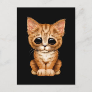 Sad Cute Oranje Tabby Kitten Cat Black Briefkaart