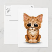 Sad Cute Oranje Tabby Kitten Cat White Briefkaart (Voorkant / Achterkant)