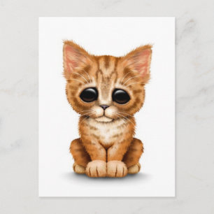 Sad Cute Oranje Tabby Kitten Cat White Briefkaart