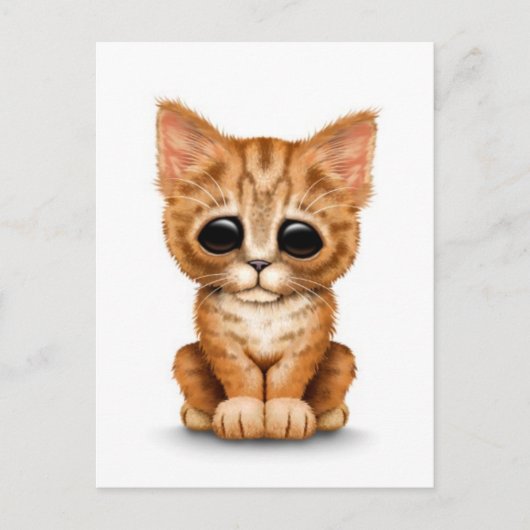 Sad Cute Oranje Tabby Kitten Cat White Briefkaart (Voorkant)