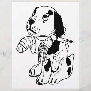 Sad Dog met gebroken been Flyer