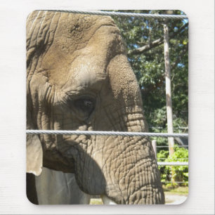 Sad Elephant Muismat