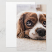 Sad-Eyed Cocker Spaniel Dog Briefpapier (Voorkant / Achterkant)